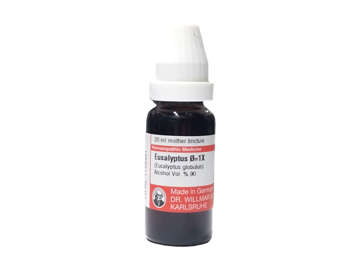 Picture of Eucalyptus Q=1x 20ml Mt